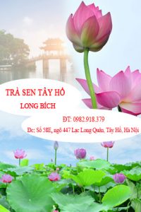 Trà Hoa Sen Tây Hồ – Tinh Hoa Trà Việt, Quà Tặng Thanh Cao & Đẳng Cấp 7 trahoasencaocap