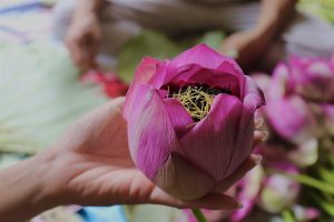 Trà sen Tây Hồ 16 760783