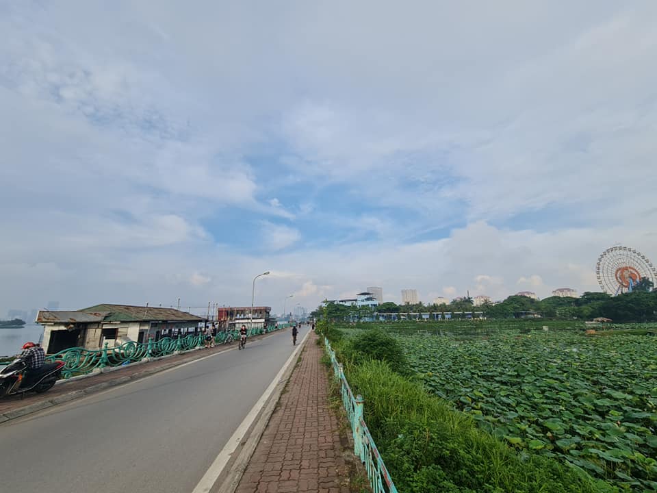 Sen Tây Hồ Sen Tây Hồ