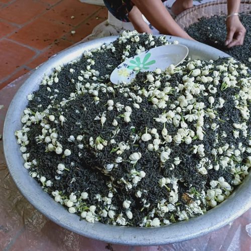 Trà Hoa Nhài 1 Tra uop hoa nhai