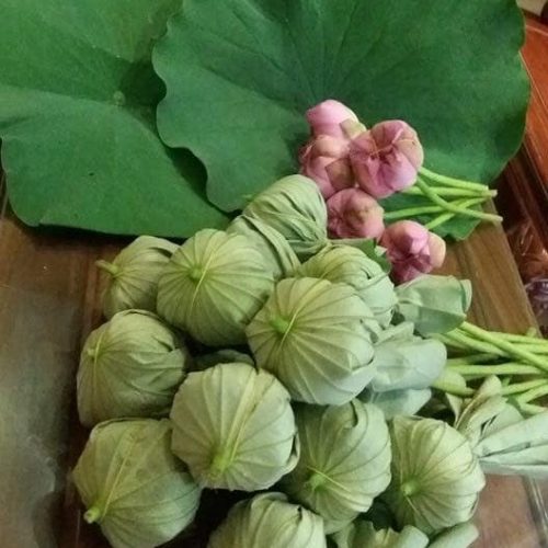 Trà sen Tây Hồ 6 Trasenngonhotay