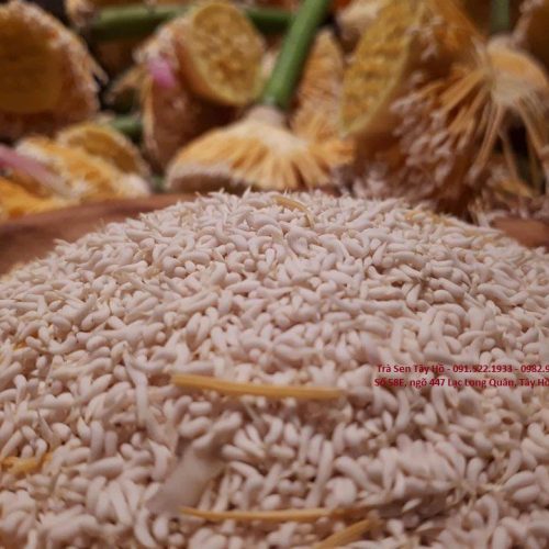 Trà sen Tây Hồ 2 Trà ướp hoa sen Hồ Tây