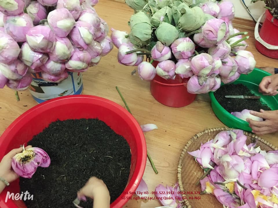 Trà ướp hoa sen tây hồ Trà ướp hoa sen tây hồ
