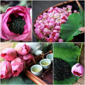Trà Hoa Sen Tây Hồ – Tinh Hoa Trà Việt, Quà Tặng Thanh Cao & Đẳng Cấp 5 tra hoa sen