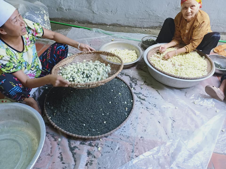 Trà Hoa Nhài và cách làm Trà Hoa Nhài ngon nhất 4 tra uop hoa nhai dac san