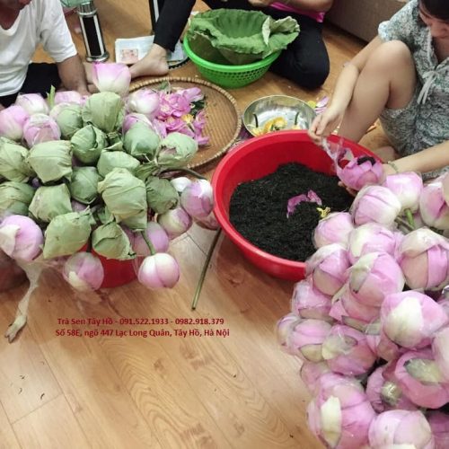 Trà sen Tây Hồ 3 trahoasen
