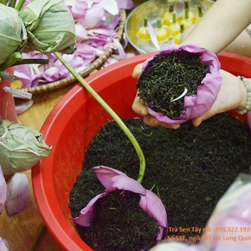Trà sen Tây Hồ 5 trasenngon